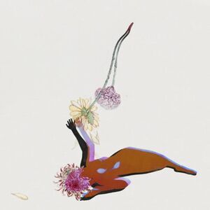 Future Islands - The Far Field   LP LP